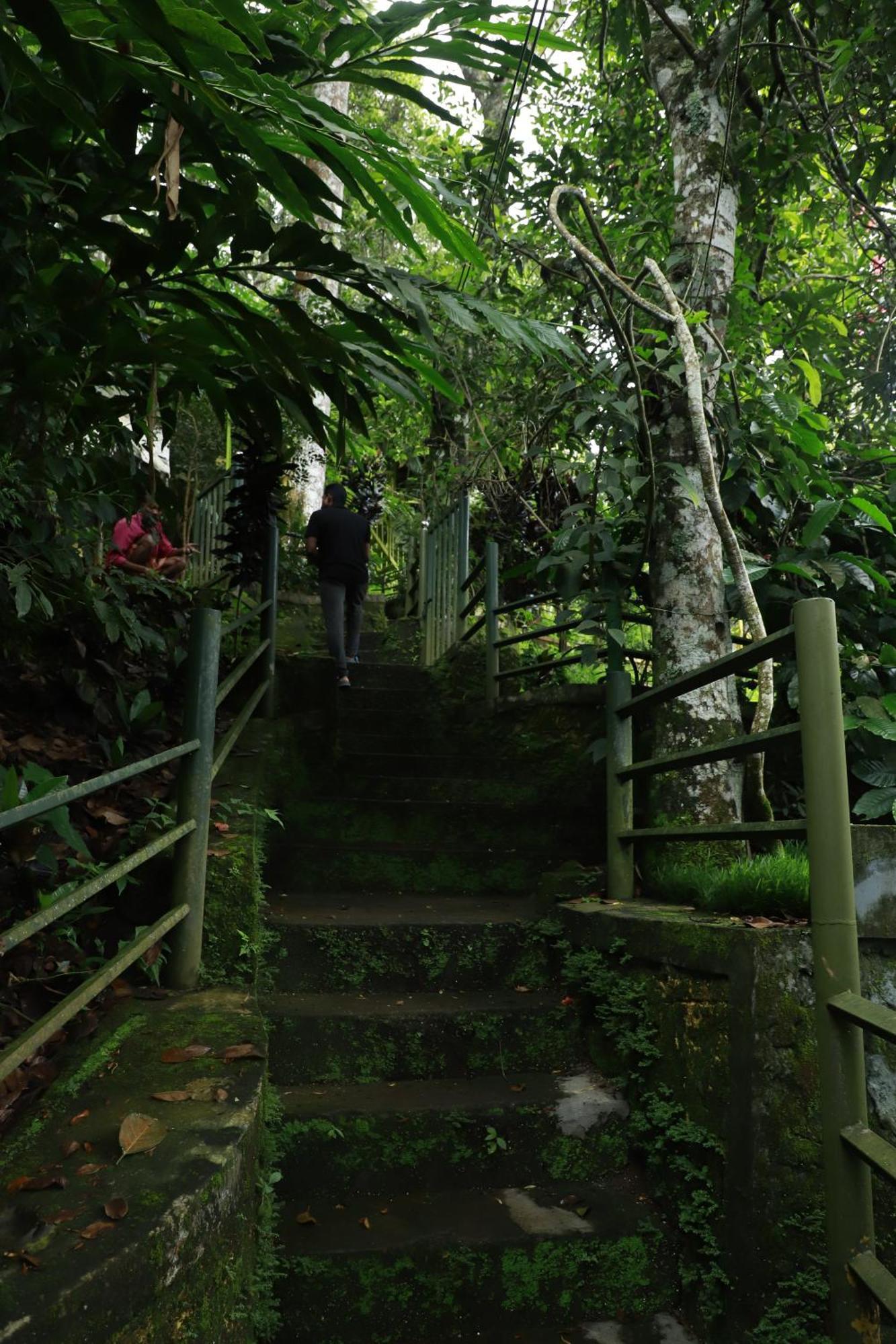 Nature Villa Anachal Exterior foto